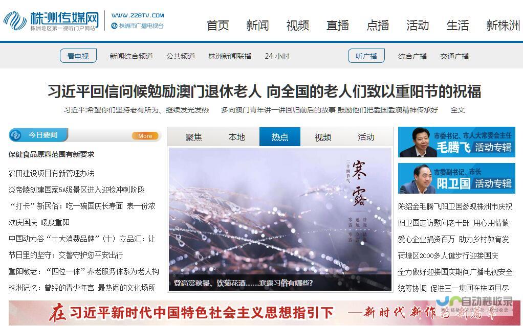 株洲网站SEO优化方案：定制化策略，精准引流，实现品牌价值最大化
