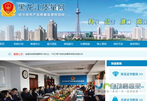 哈尔滨网站设计：打造引流转化，提升品牌形象的专业解决方案