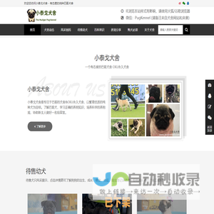 小泰戈巴哥犬舍-CKU FCI永久犬舍-一个有爱心和责任心的巴哥犬舍