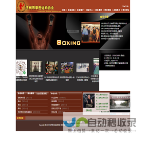 杭州市拳击运动协会|杭州拳击培训