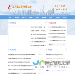 融资担保协会 - 融资担保协会