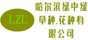 哈尔滨哪买卖草种_花种_种子?